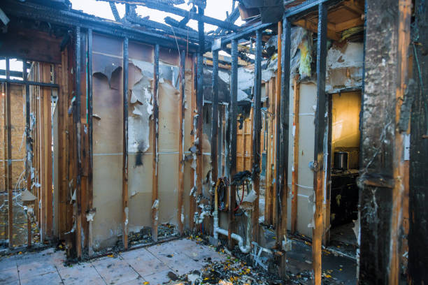 Professional Fire Damage Assessment technician working in Argyle, TX